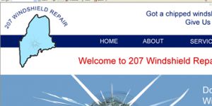 207 Windshield