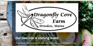 Dragonfly Cove Farm Dresden Maine