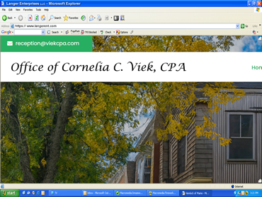 Cornelia C Viek CPA