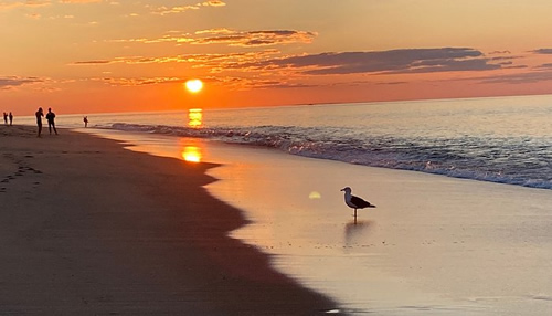 Race Point Beach Mass